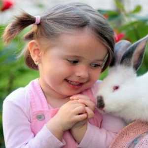 Perché un coniglio è l`animale domestico perfetto per la famiglia!