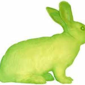Perché i conigli sono verdi