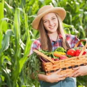 Perché si dovrebbe far crescere frutta e verdura cimelio nel vostro giardino