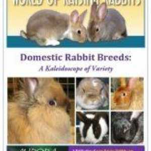 World of innalzamento rabbitsbooks ed e-book